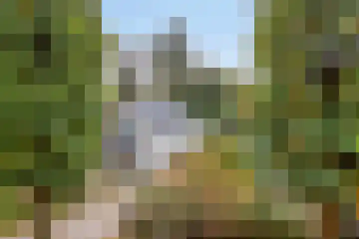 Ludenlaan 4 Doorn thumbnail 7