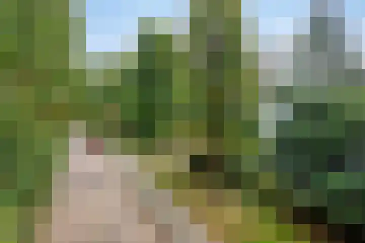 Ludenlaan 4 Doorn thumbnail 8