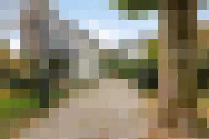 Ludenlaan 4 Doorn thumbnail 9