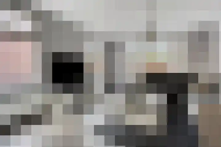 Ludensweg 23 Winschoten thumbnail 15