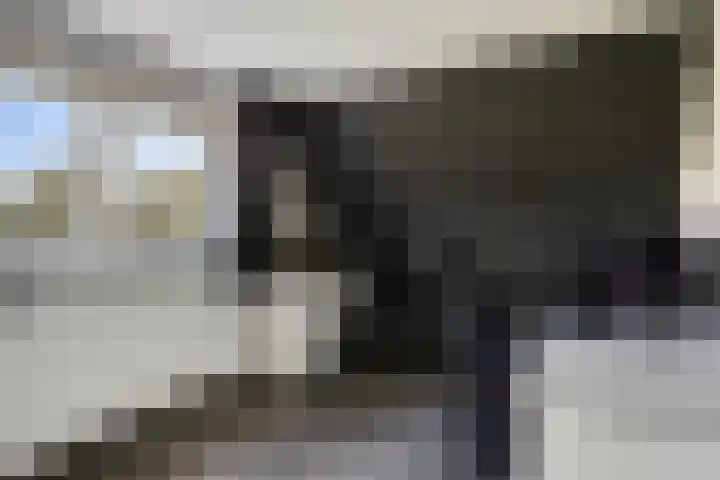 Ludensweg 23 Winschoten thumbnail 29