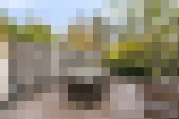 Ludensweg 23 Winschoten thumbnail 40
