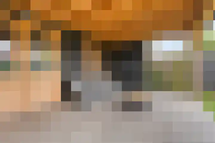 Ludensweg 23 Winschoten thumbnail 48