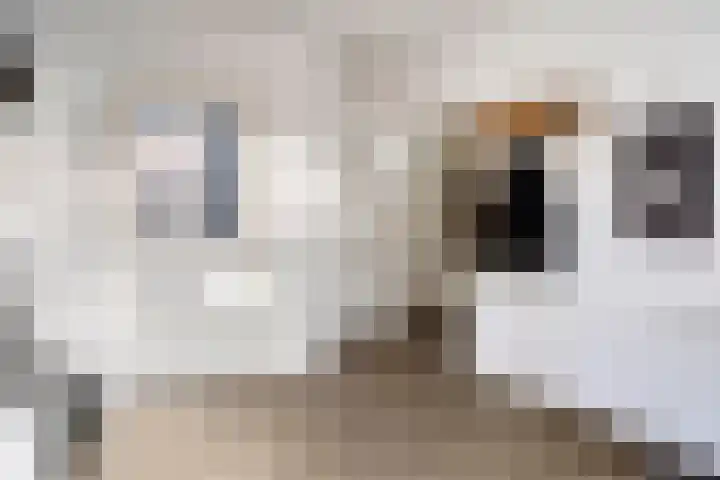 Ludensweg 23 Winschoten thumbnail 9