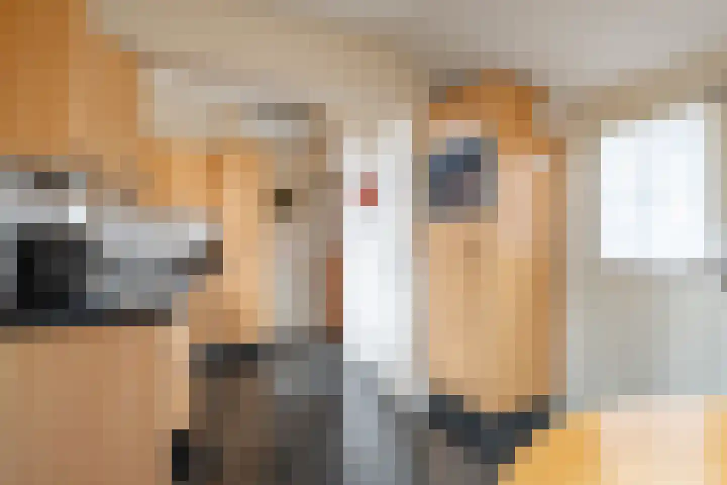 Ludenweg 10 Blaricum thumbnail 15