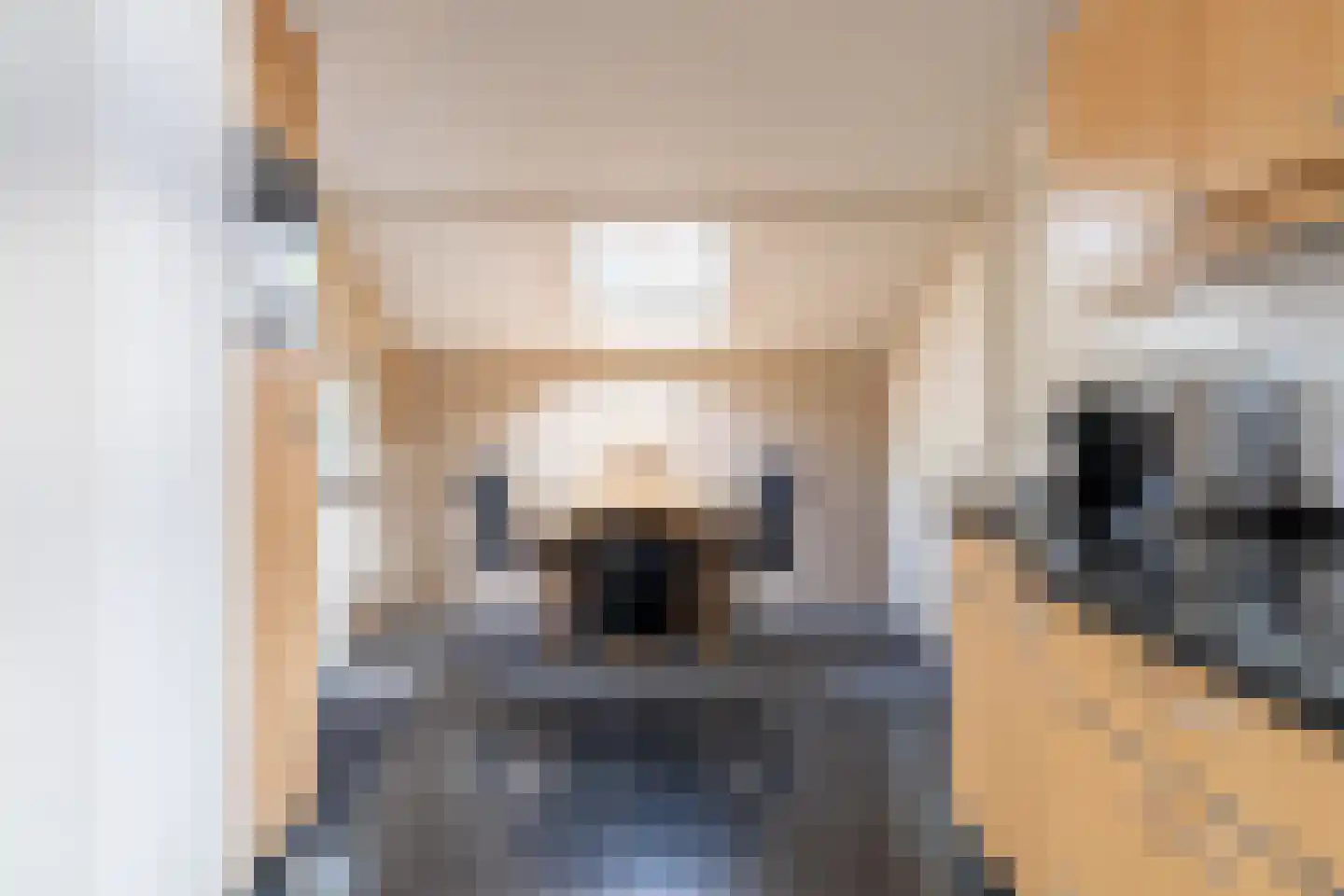 Ludenweg 10 Blaricum thumbnail 16