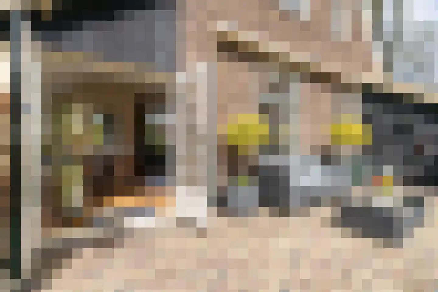 Ludenweg 10 Blaricum thumbnail 32