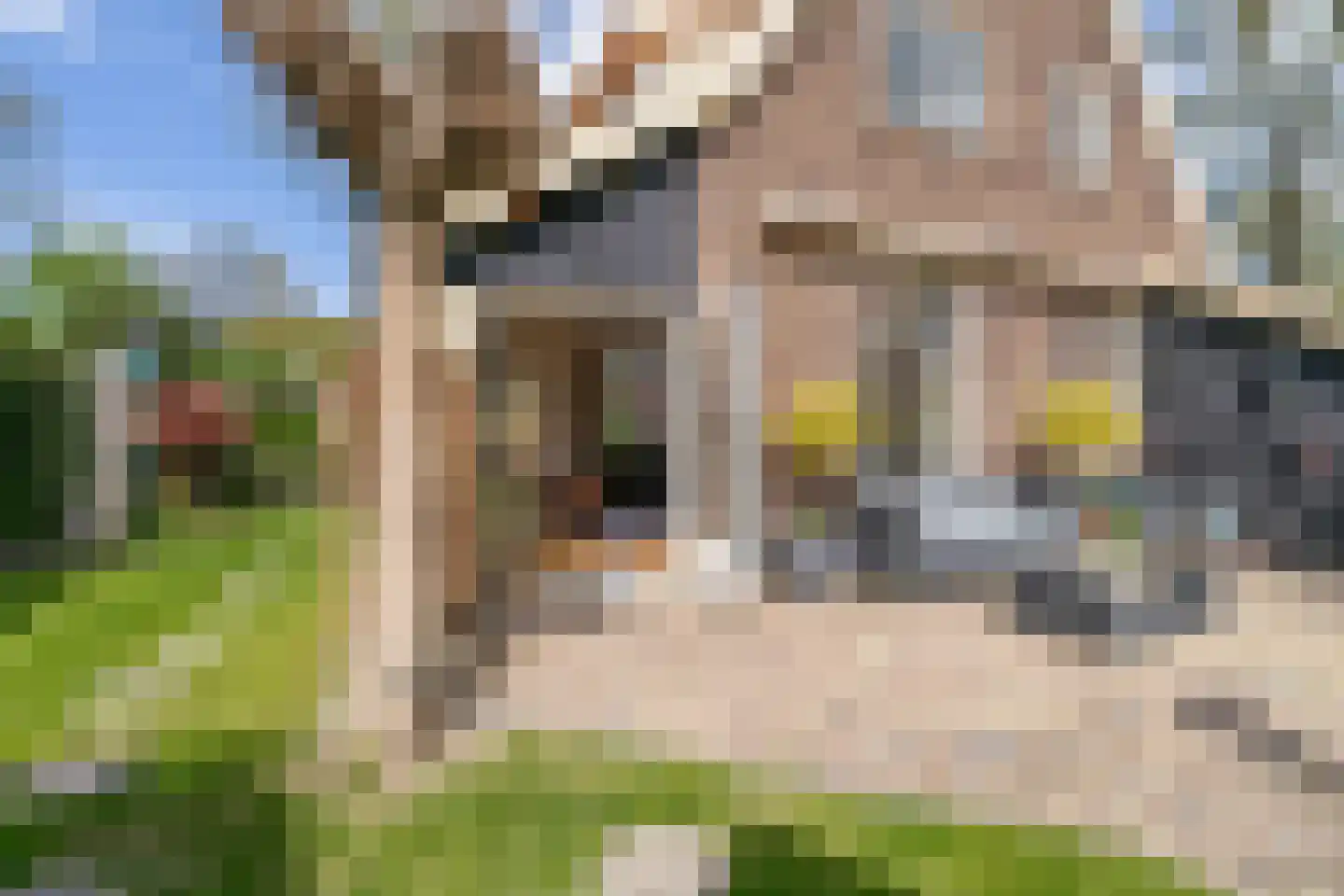 Ludenweg 10 Blaricum thumbnail 37