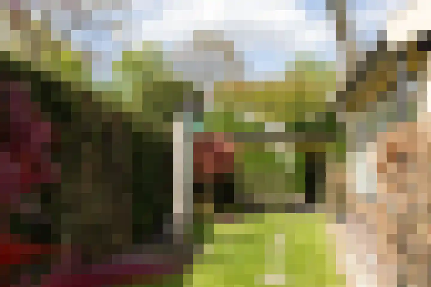Ludenweg 10 Blaricum thumbnail 38