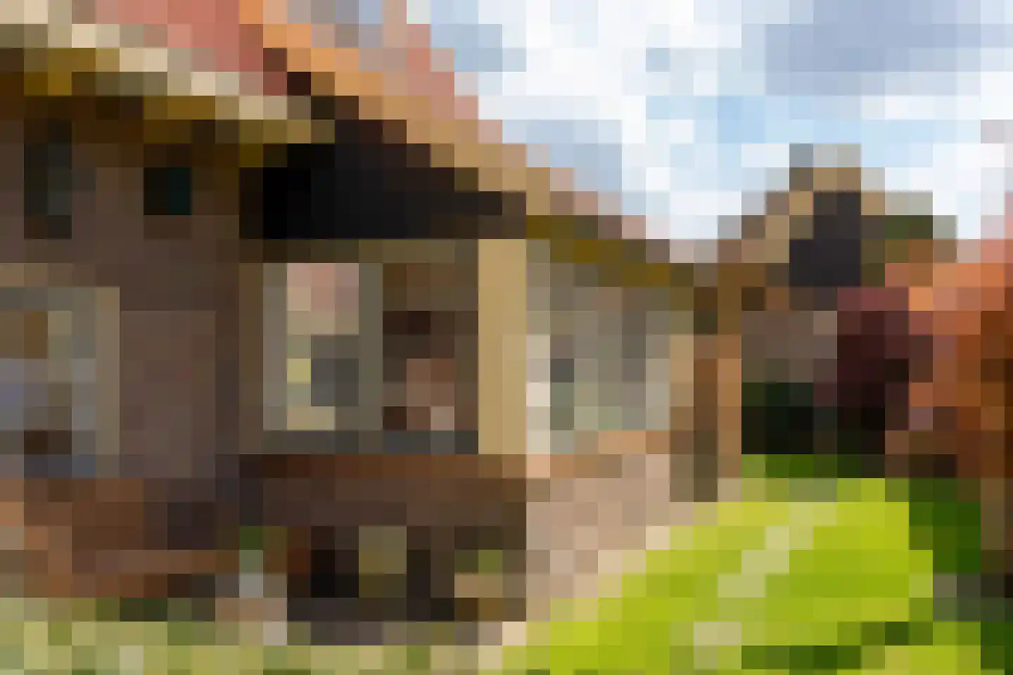 Ludenweg 10 Blaricum thumbnail 39