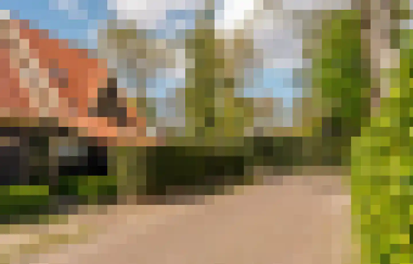 Ludenweg 10 Blaricum thumbnail 47