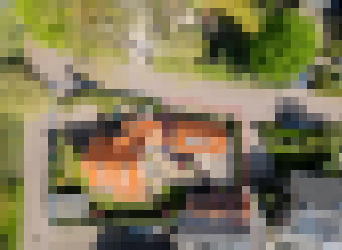 Ludenweg 10 Blaricum thumbnail 51