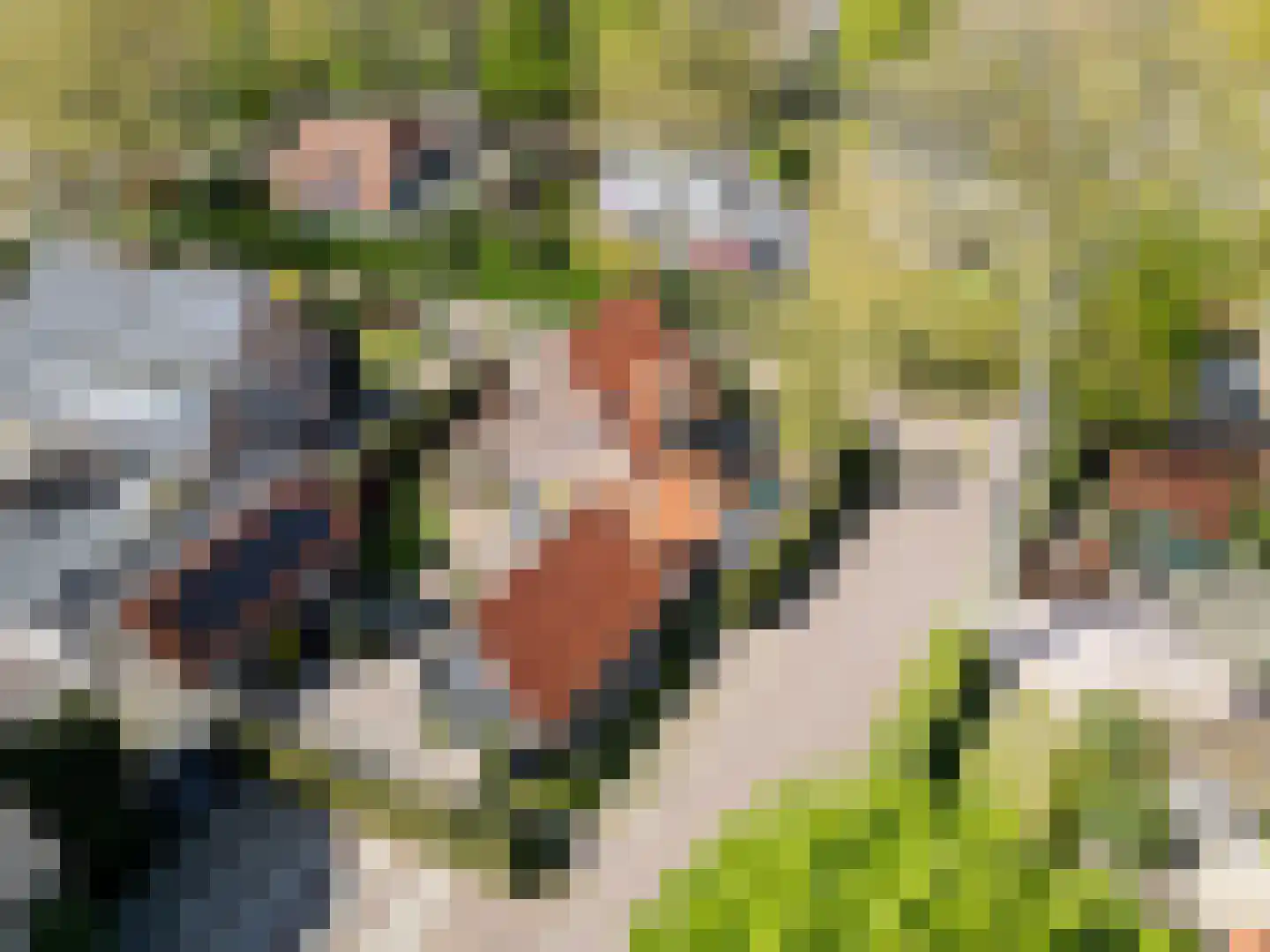 Ludenweg 10 Blaricum thumbnail 52