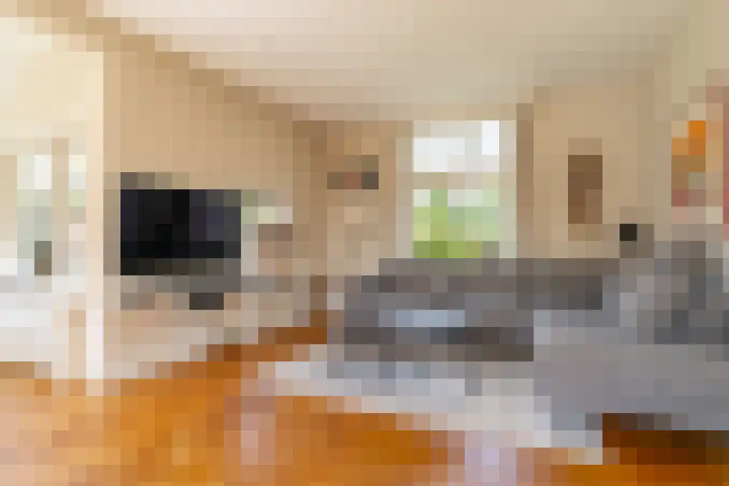 Ludenweg 10 Blaricum thumbnail 9