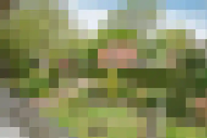 Ludenweg 6 Blaricum thumbnail 14