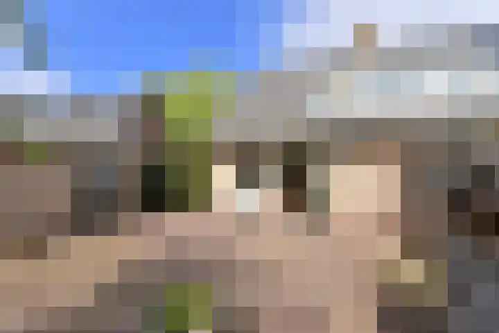Ludenweg 6 Blaricum thumbnail 19