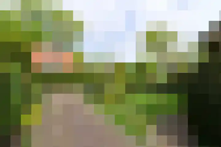 Ludenweg 6 Blaricum thumbnail 21