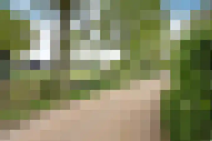 Ludenweg 6 Blaricum thumbnail 22
