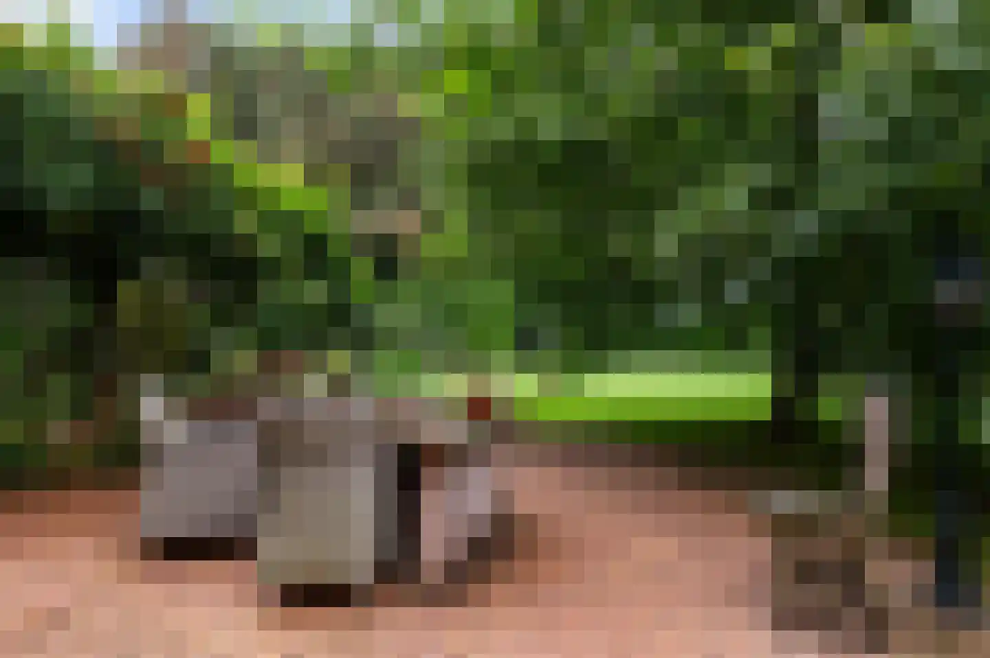 Ludger 29 Wichmond thumbnail 4