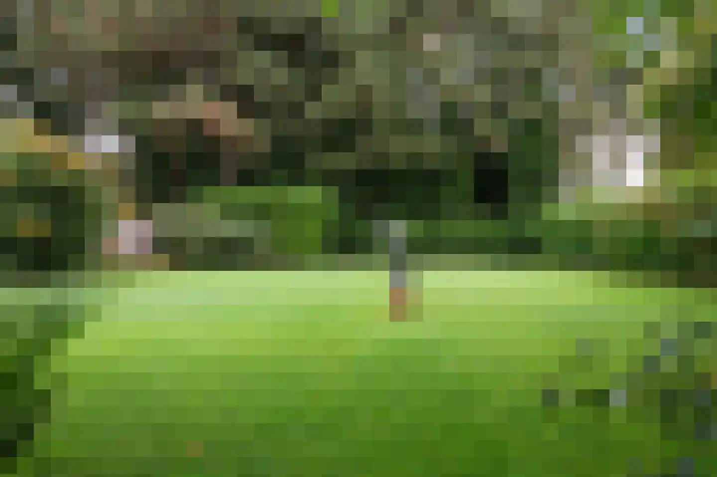 Ludger 29 Wichmond thumbnail 5