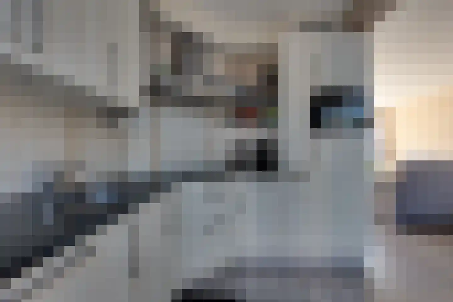 Ludgerstraat 7 Lichtenvoorde thumbnail 15