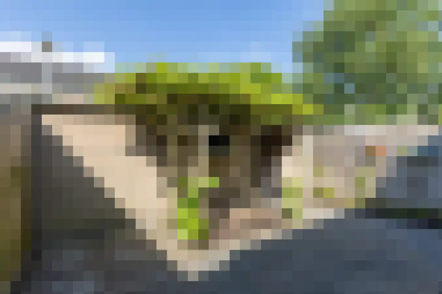 Ludgerstraat 7 Lichtenvoorde thumbnail 38