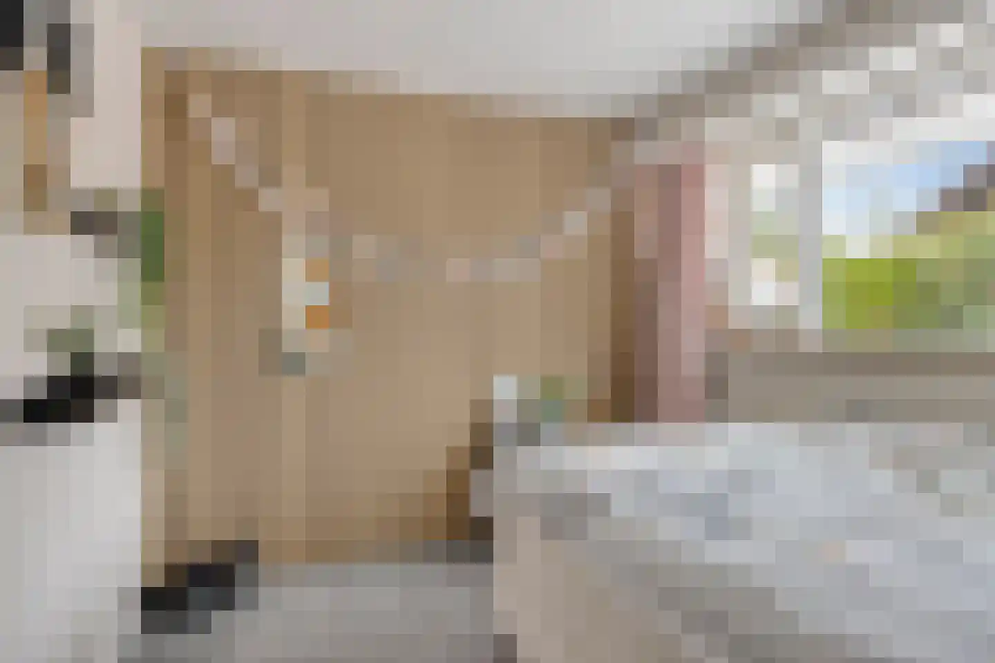 Ludgeruslaan 1 Losser thumbnail 29