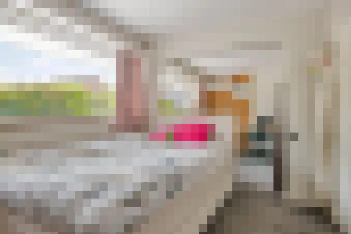 Ludgeruslaan 1 Losser thumbnail 30