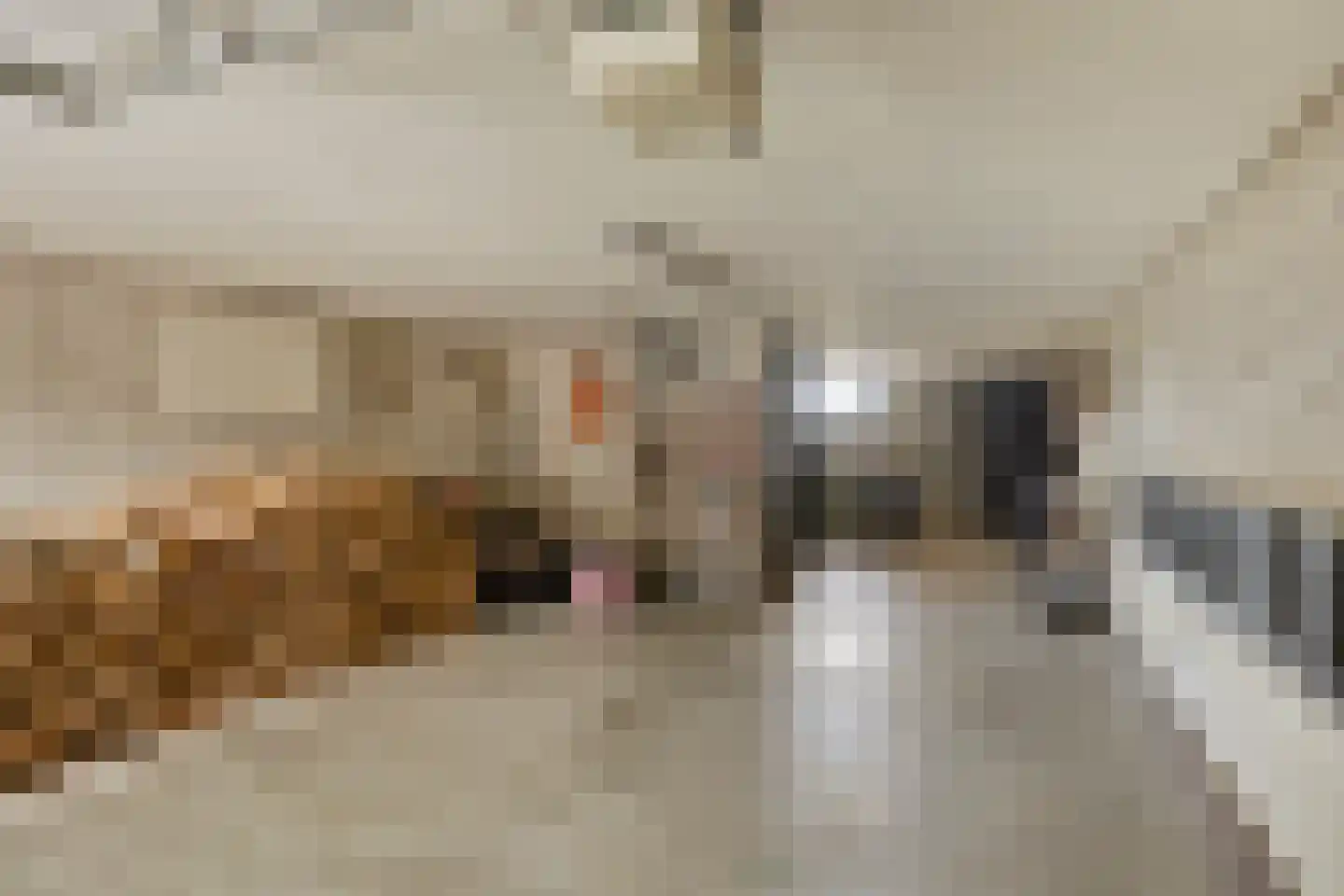 Ludgeruslaan 1 Losser thumbnail 37