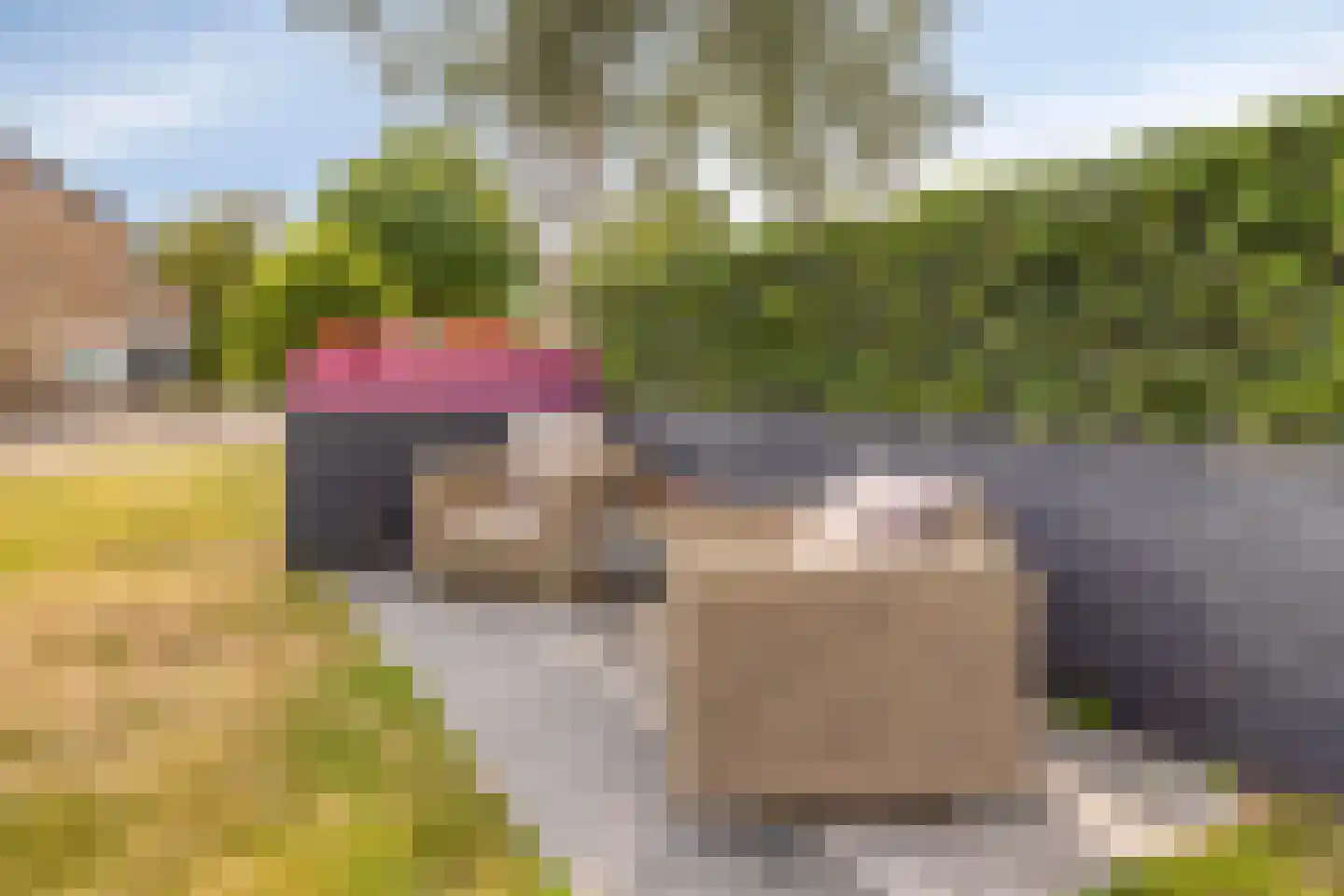 Ludgeruslaan 1 Losser thumbnail 47