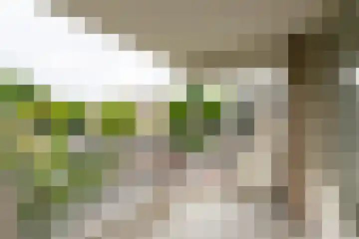 Ludgeruslaan 103 Hilversum thumbnail 19
