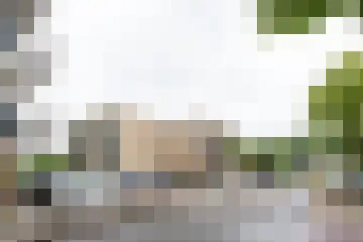 Ludgeruslaan 103 Hilversum thumbnail 21