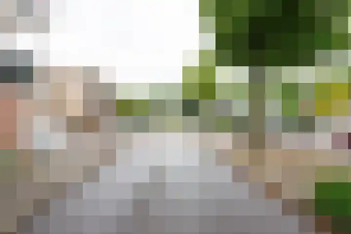 Ludgeruslaan 103 Hilversum thumbnail 22
