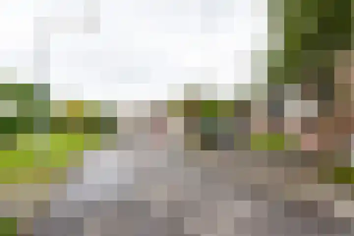 Ludgeruslaan 103 Hilversum thumbnail 26