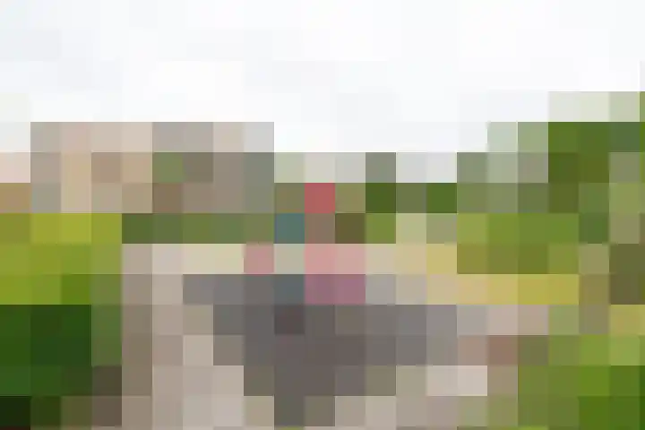 Ludgeruslaan 103 Hilversum thumbnail 28