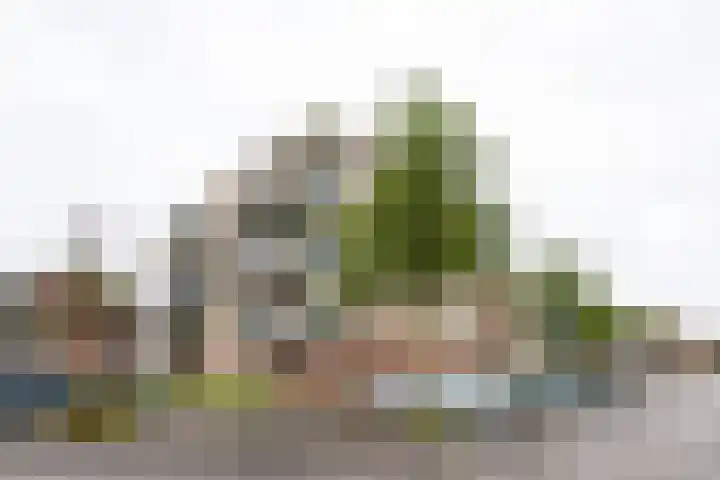 Ludgeruslaan 103 Hilversum thumbnail 35