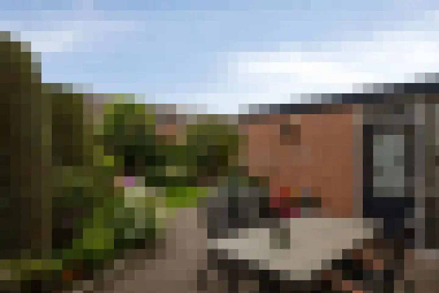 Ludgeruslaan 12 Losser thumbnail 30