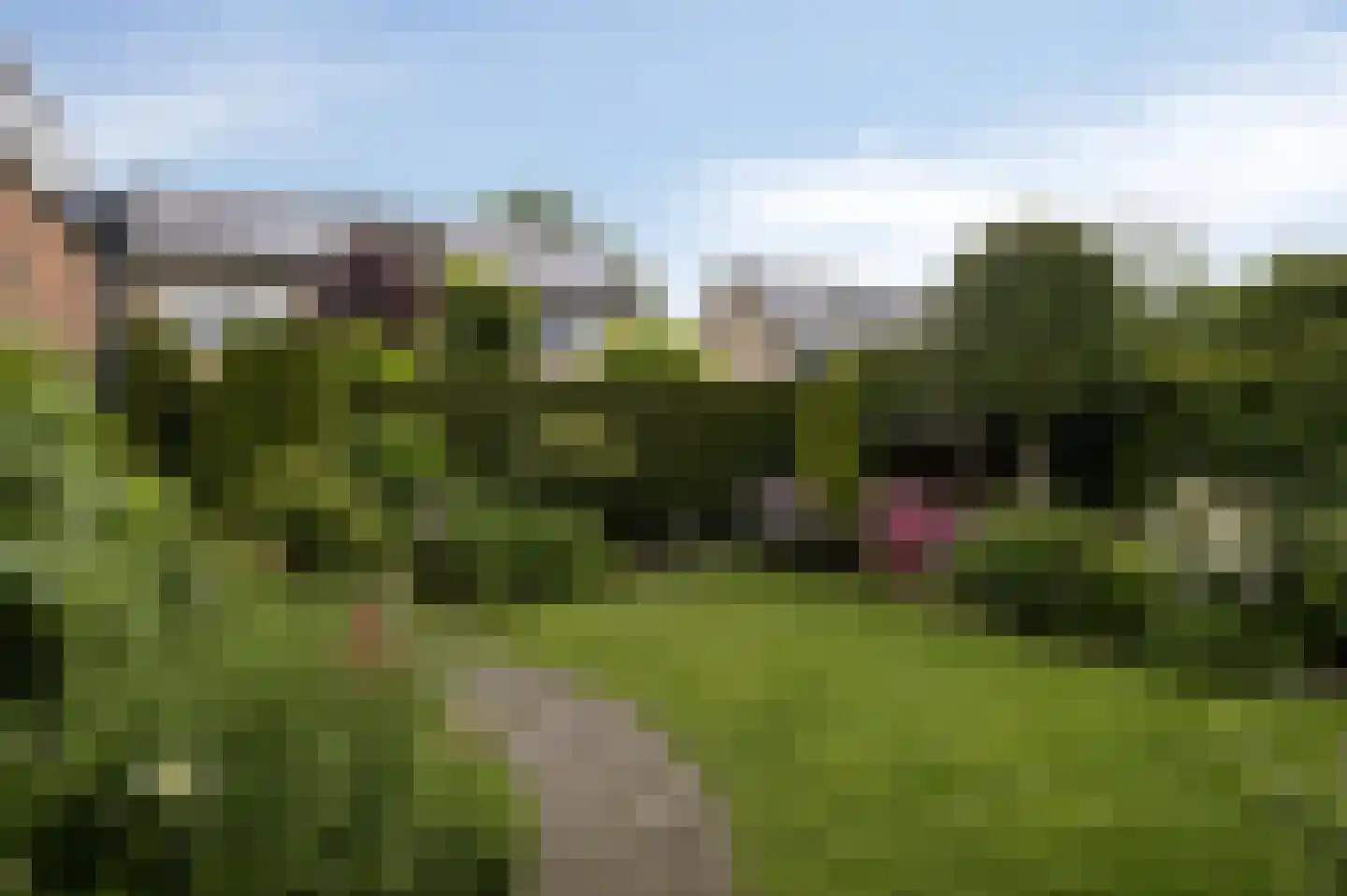 Ludgeruslaan 12 Losser thumbnail 32