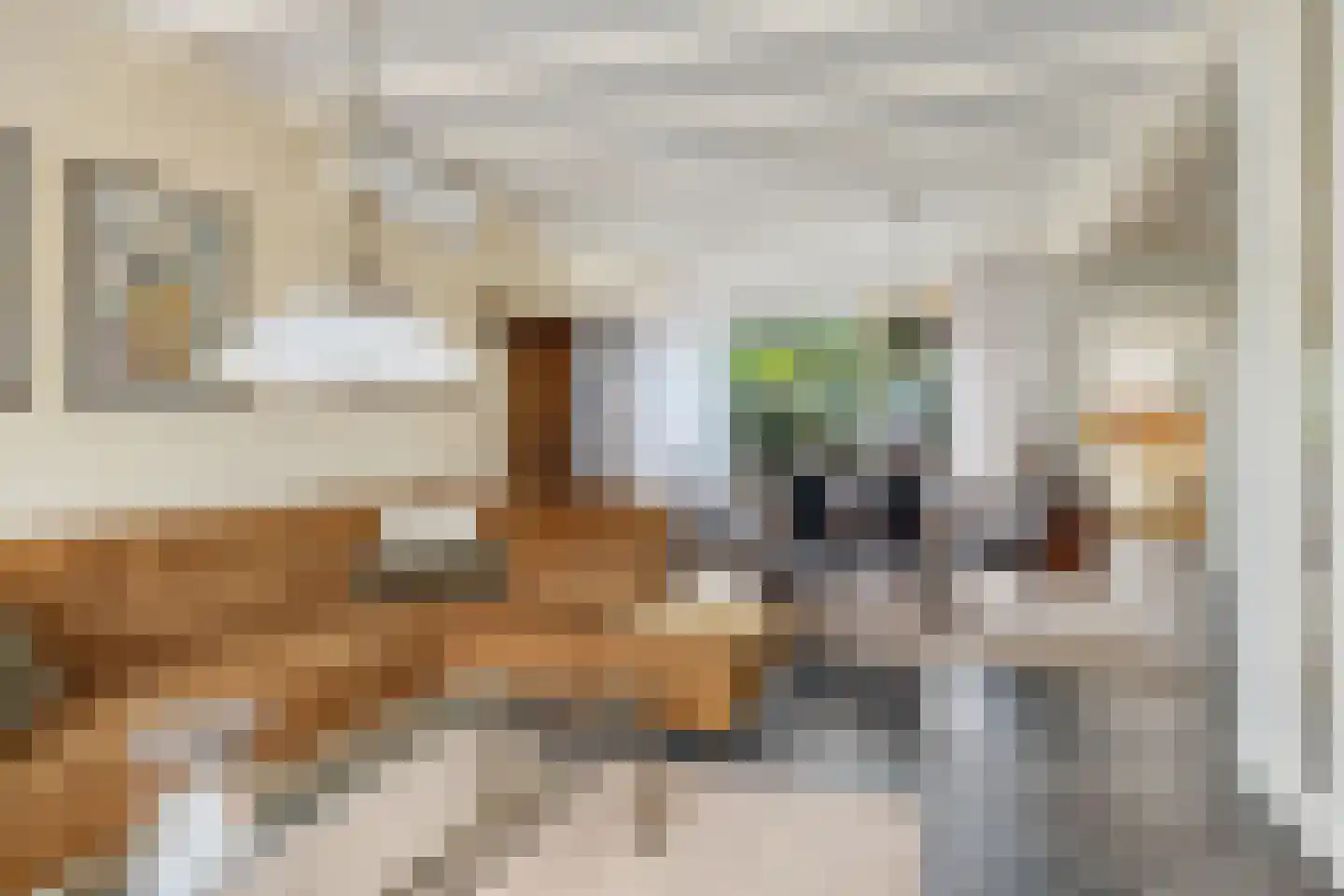Ludgeruslaan 12 Losser thumbnail 8