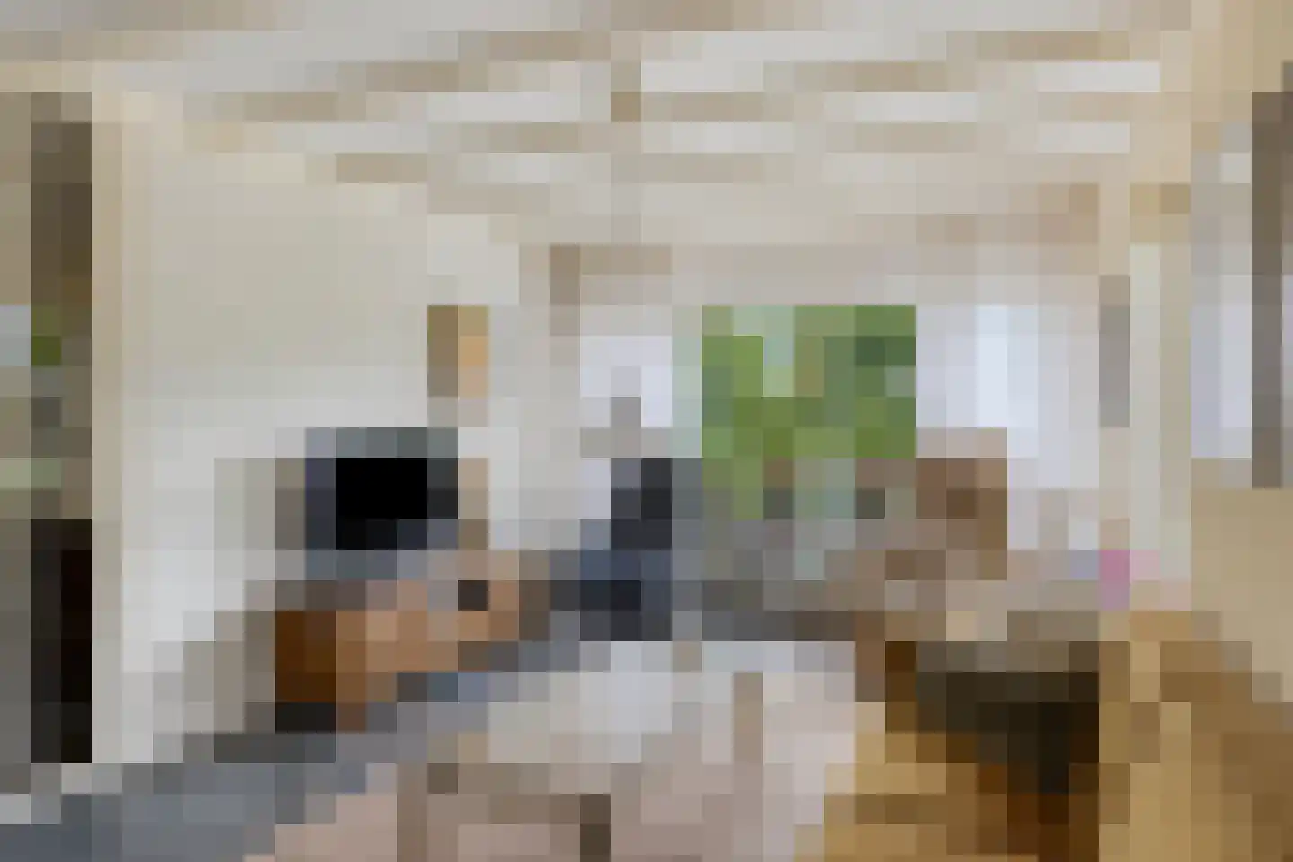 Ludgeruslaan 12 Losser thumbnail 9