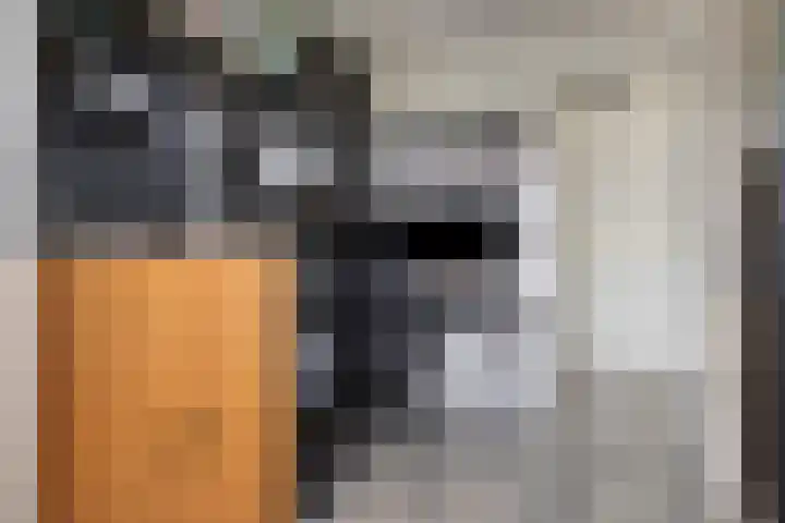 Ludgeruslaan 125 Hilversum thumbnail 22