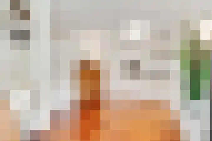 Ludgeruslaan 59 Hilversum thumbnail 11