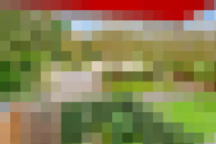Ludgeruslaan 59 Hilversum thumbnail 36