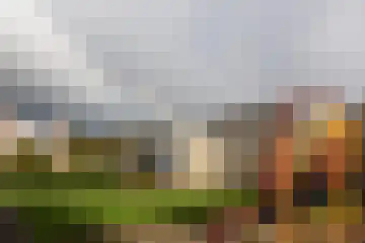 Ludgeruslaan 97 Hilversum thumbnail 22