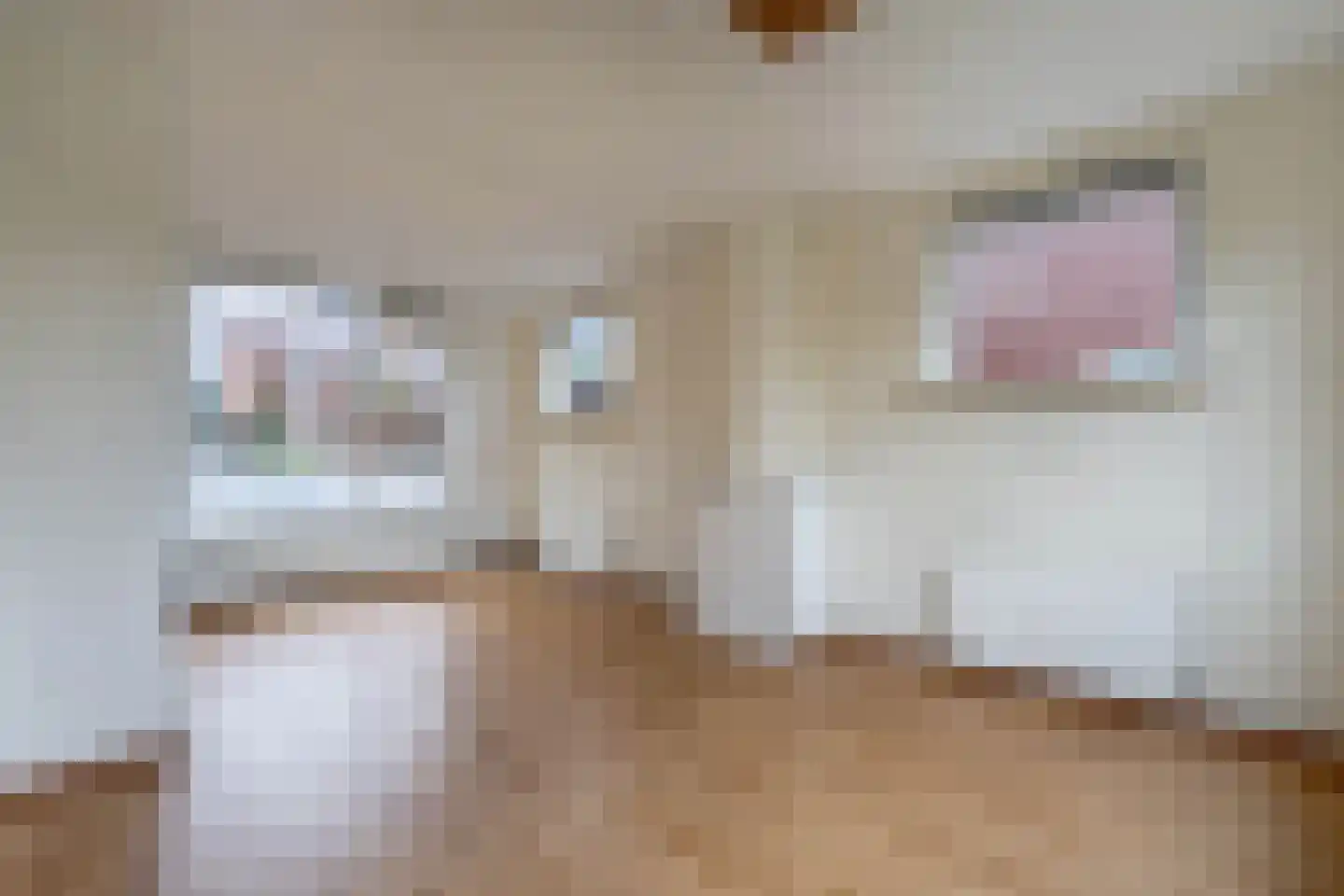 Ludgerusstraat 15 Balk thumbnail 14