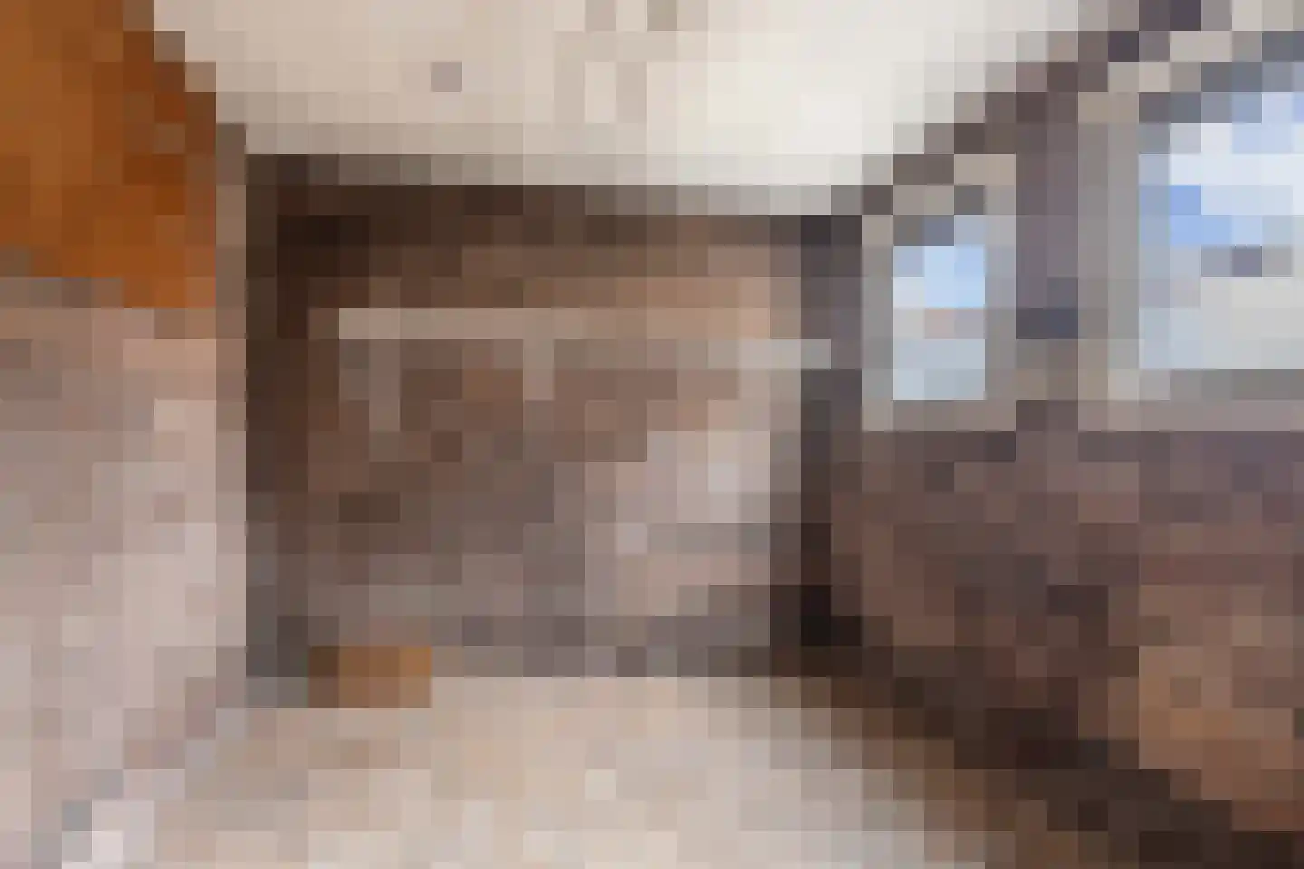 Ludgerusstraat 15 Balk thumbnail 26