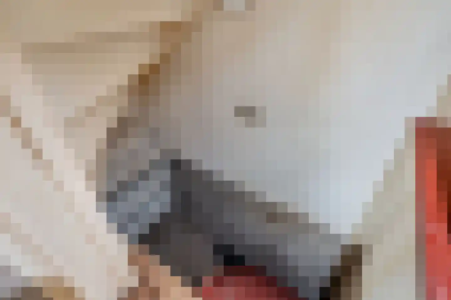 Ludgerusstraat 15 Balk thumbnail 37