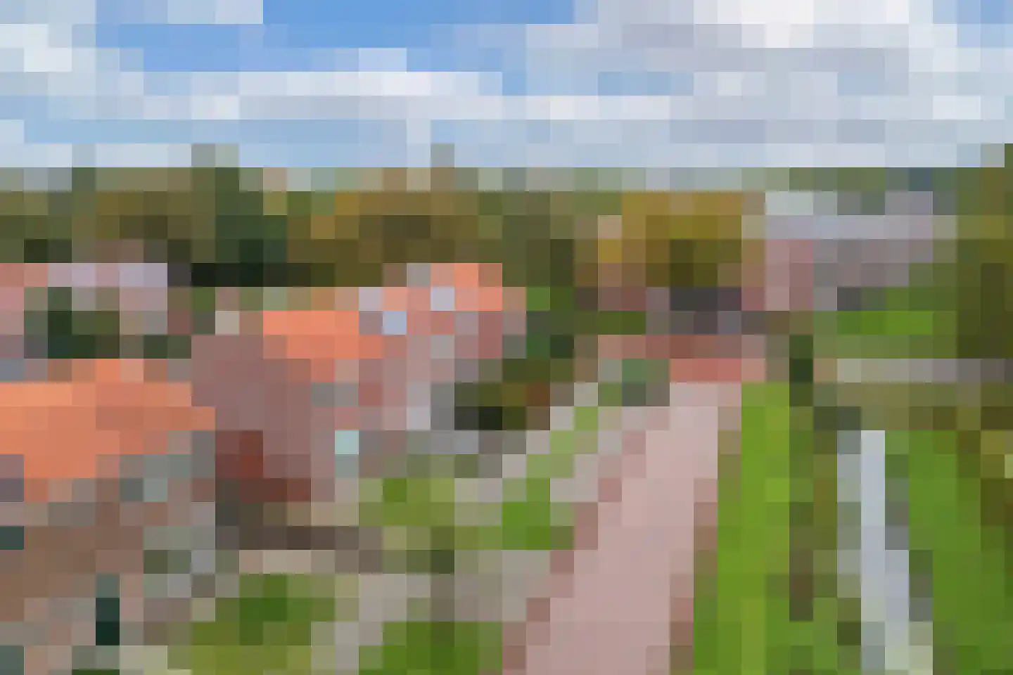 Ludgerusstraat 15 Balk thumbnail 52