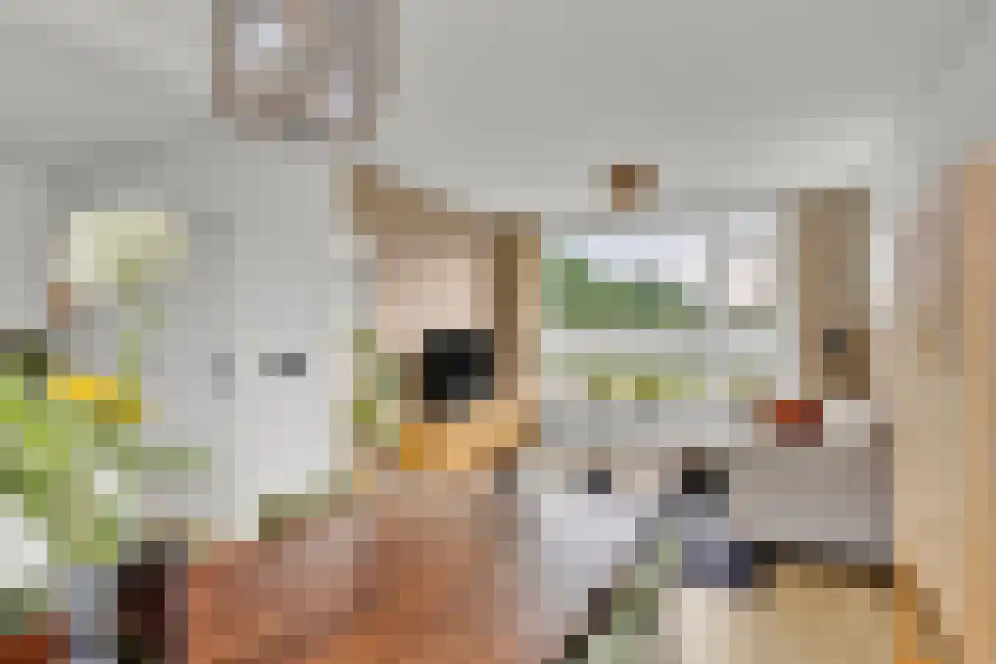 Ludgerusstraat 17 Balk thumbnail 11