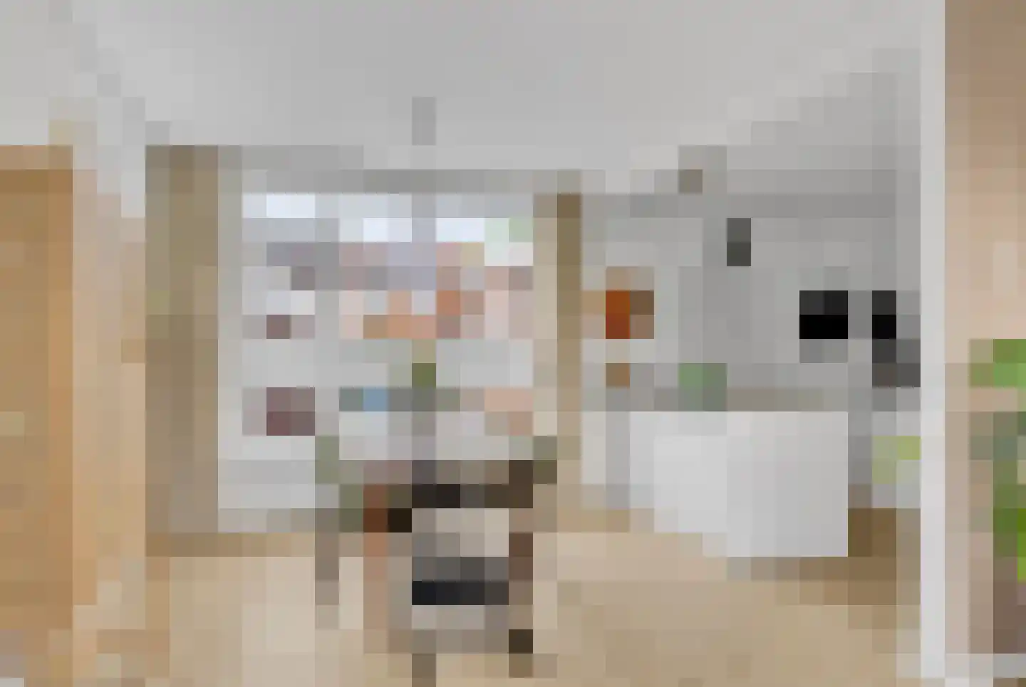 Ludgerusstraat 17 Balk thumbnail 12